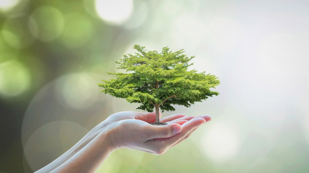 sustainable-development